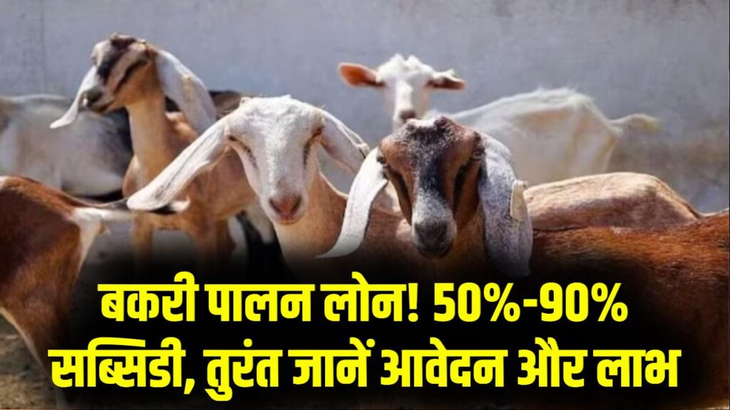 Bakari Palan Loan: बकरी पालन पर 50% से 90% सब्सिडी! लोन कैसे मिलेगा? तुरंत जानें लाभ