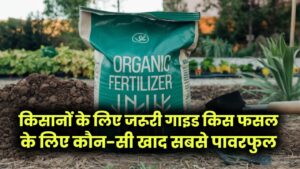 DAP vs TSP vs SSP vs NPK, किस फसल के लिए कौन-सी खाद सबसे पावरफुल? किसानों के लिए जरूरी गाइड